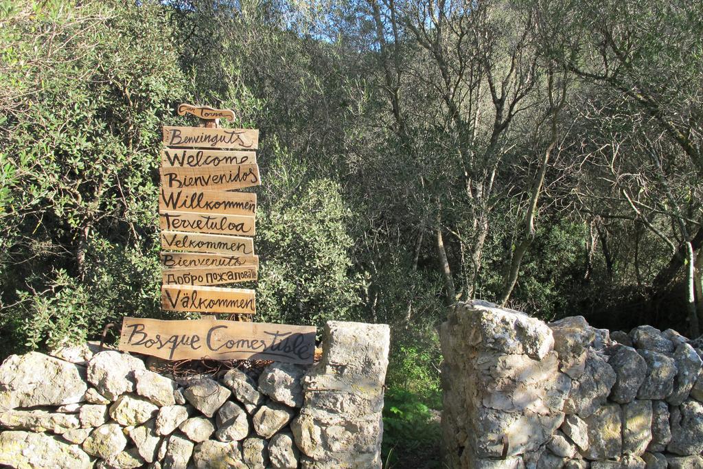 Agroturismo Can Torna Ag178 エスポレス エクステリア 写真